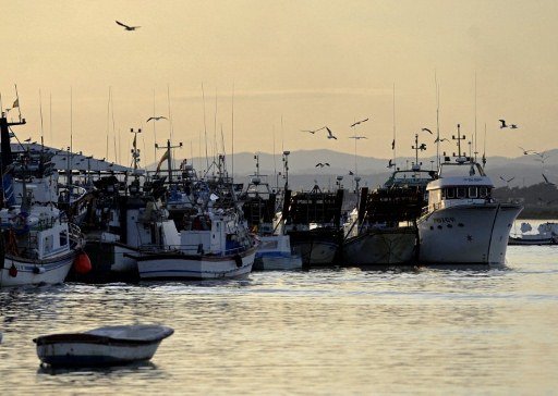  Maroc – Espagne. Accord de pêche, le bras de fer se profile…