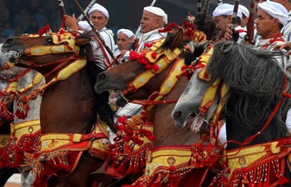  Les arts équestres traditionnels marocains  à l’honneur au salon du cheval