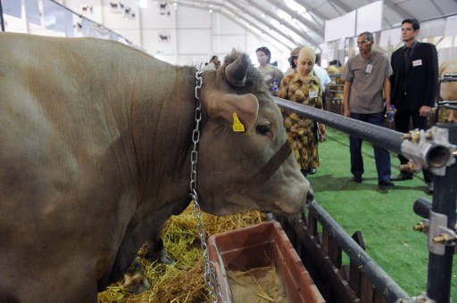  Maroc. Salon de l’Agriculture : une édition dédiée à la recherche et au développement