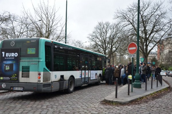  Des bus spéciaux pour les Roms