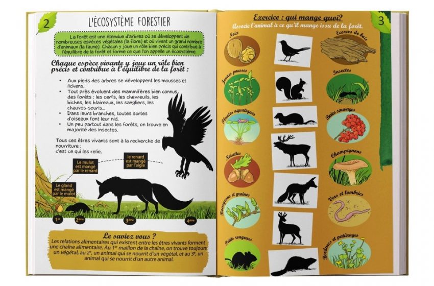  Edition francophone du « Carnet de l’arbre » de Bionoor