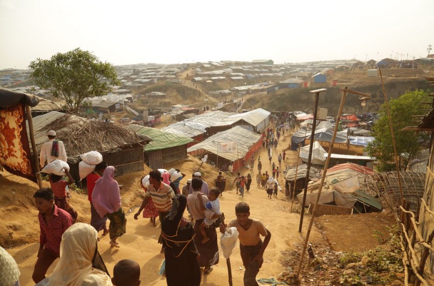  Pas d’accalmie dans les violences contre les Rohingyas selon l’OIM