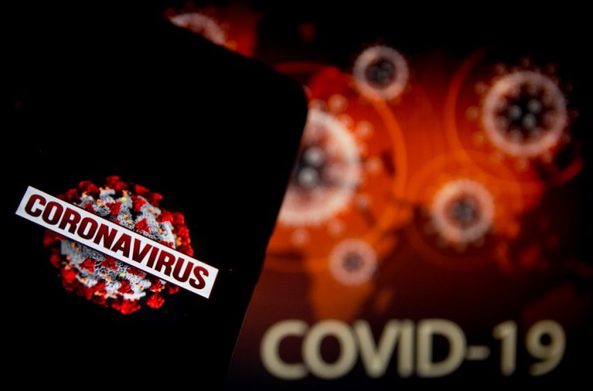  Coronavirus- Crise du système capitaliste