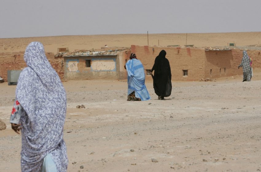  Algérie. La tragique réalité quotidienne des femmes dans les camps de Tindouf