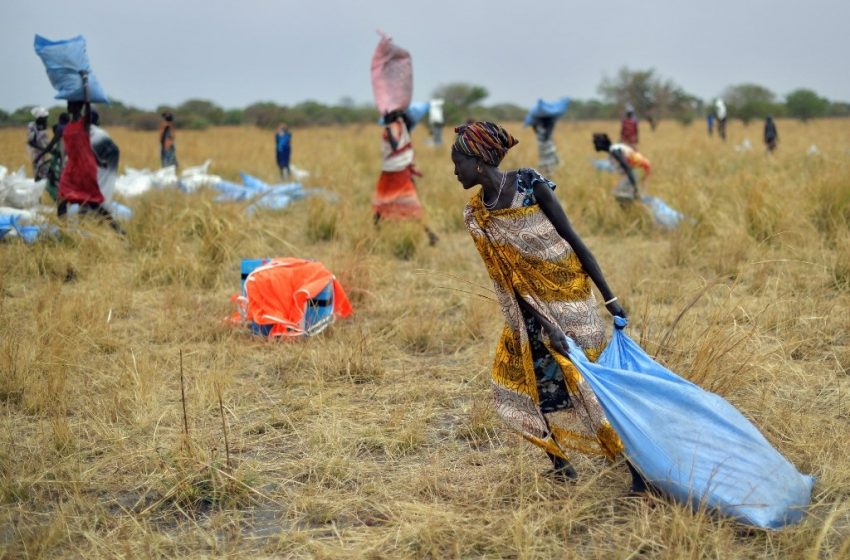  Journée mondiale contre la faim