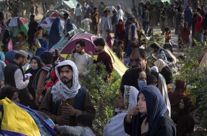  Lille, terre d’accueil des réfugiés afghans ?