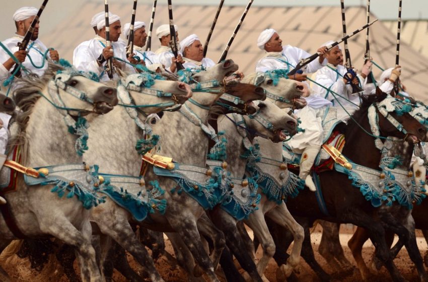  La Tbourida inscrite au Patrimoine immatériel de l’Unesco : Une chevauchée fantastique