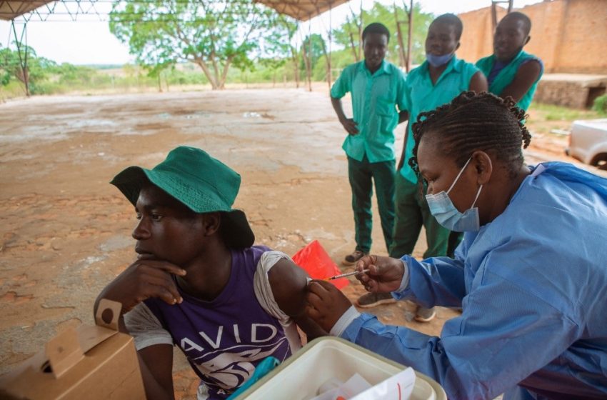  Covid-19. Pic en Afrique ? Hausse dans le monde, l’OMS invite à la prudence