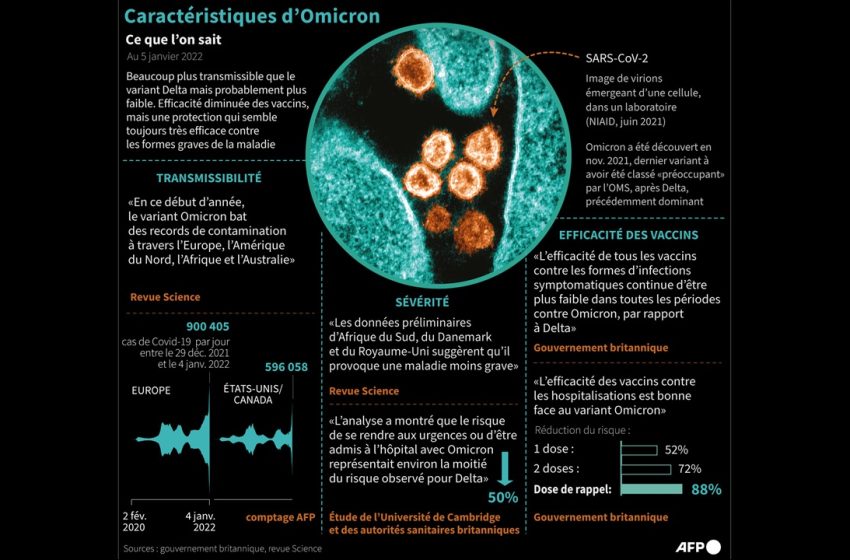  Variant Omicron : l’Institut Pasteur optimiste, l’OMS prudente