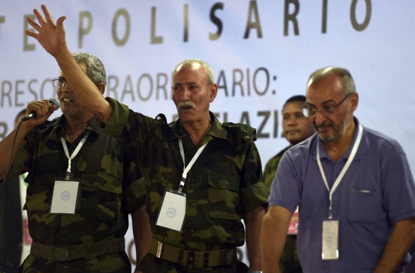  Sommet UE-UA. Des ONGs dénoncent la participation du chef du Polisario