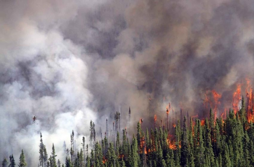  Maroc : Un mort et des milliers de déplacés dans les incendies de forêt