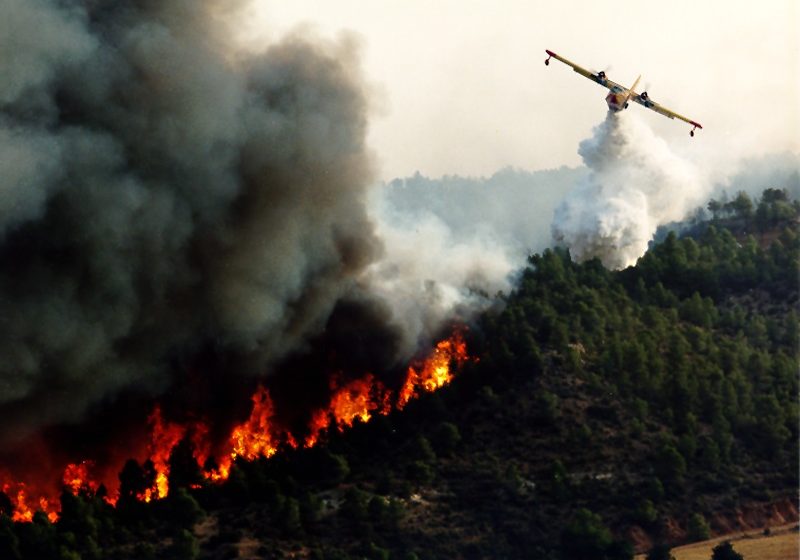  L’Enfer méditerranéen : De l’Algérie à la Grèce, les incendies destructeurs se multiplient