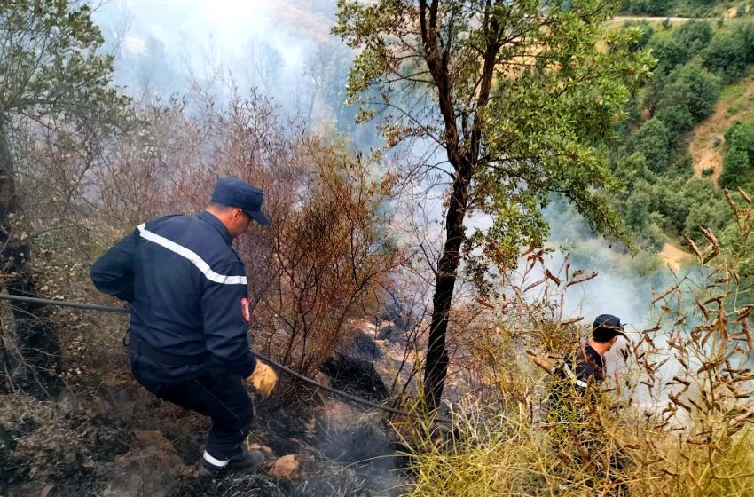  Des incendies font 26 morts en Algérie