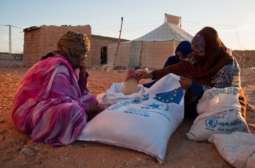  Algérie. L’absence d’enregistrement des réfugiés favorise le détournement de l’aide humanitaire