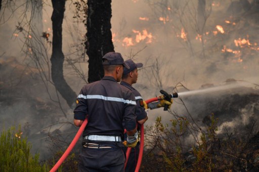  Taza : Plusieurs déplacés à cause des incendies de Maghraoua