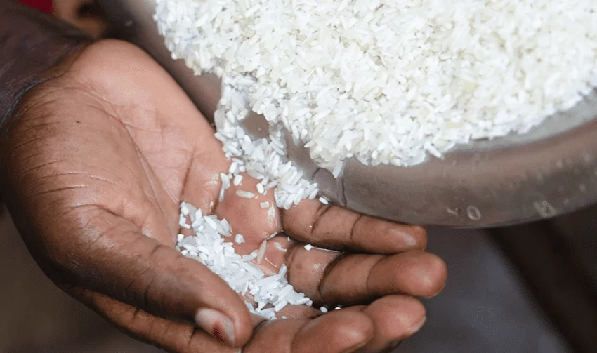  Record des prix du riz : un risque systémique pour l’Afrique