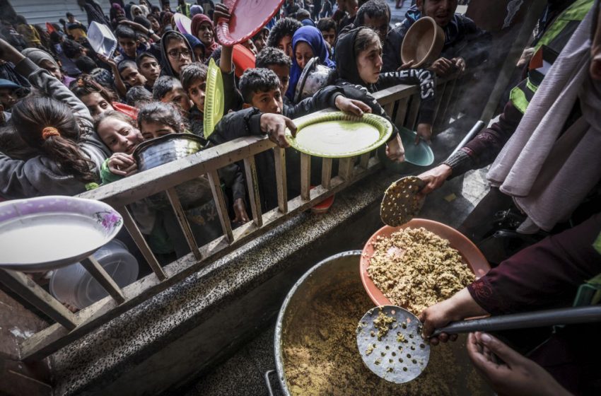  Gaza : un enfant de moins de deux ans sur six souffre de malnutrition aiguë