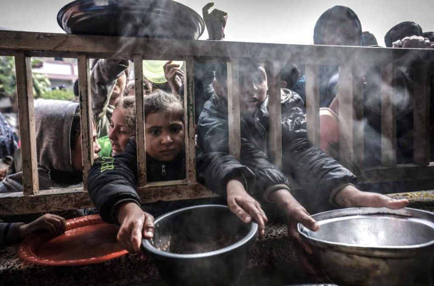  Famine à Gaza. On affame bien les rats