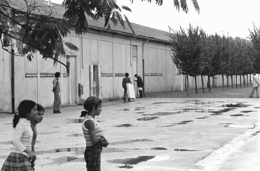  Harkis : La CEDH condamne la France pour les conditions de vie indignes dans les camps d’accueil