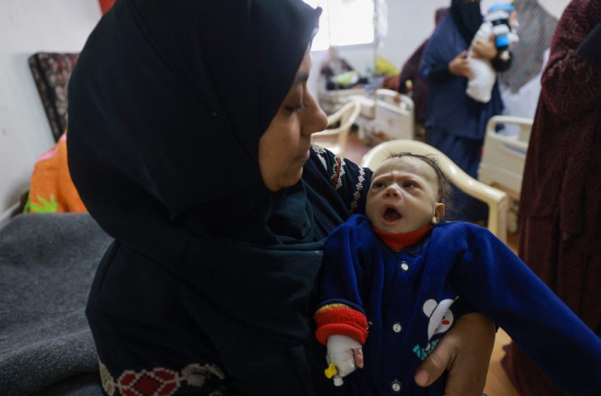  Gaza : menace de famine, victimes humanitaires et un cessez-le-feu immédiat exigé