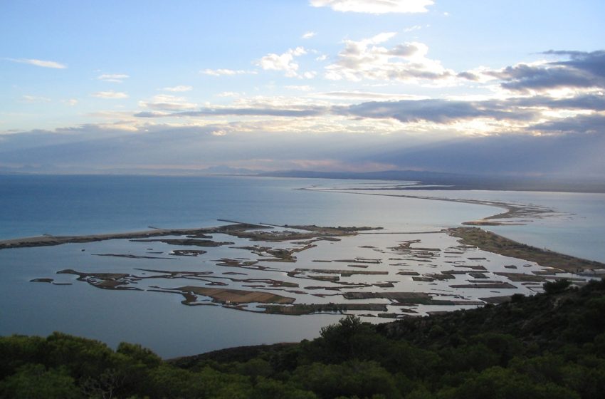  Les zones humides de Méditerranée et leurs oiseaux menacés par le réchauffement climatique