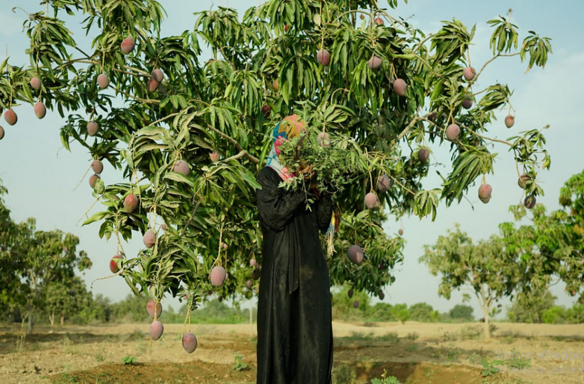  Les Rencontres de la Photographie de Marrakech du 23 au 27 octobre